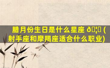腊月份生日是什么星座 🦍 (射手座和摩羯座适合什么职业)